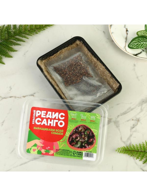 Набор для выращивания микрозелени «Красный редис»: лоток, семена (3 шт), льняной коврик (3 шт)