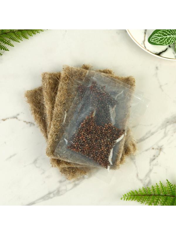 Набор для выращивания микрозелени «Красный редис»: лоток, семена (3 шт), льняной коврик (3 шт)