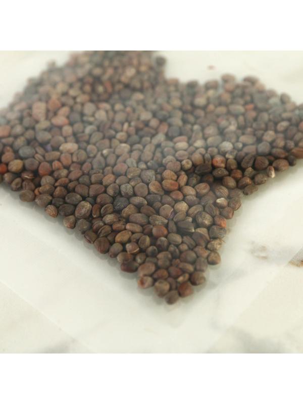 Набор для выращивания микрозелени «Красный редис»: лоток, семена (3 шт), льняной коврик (3 шт)