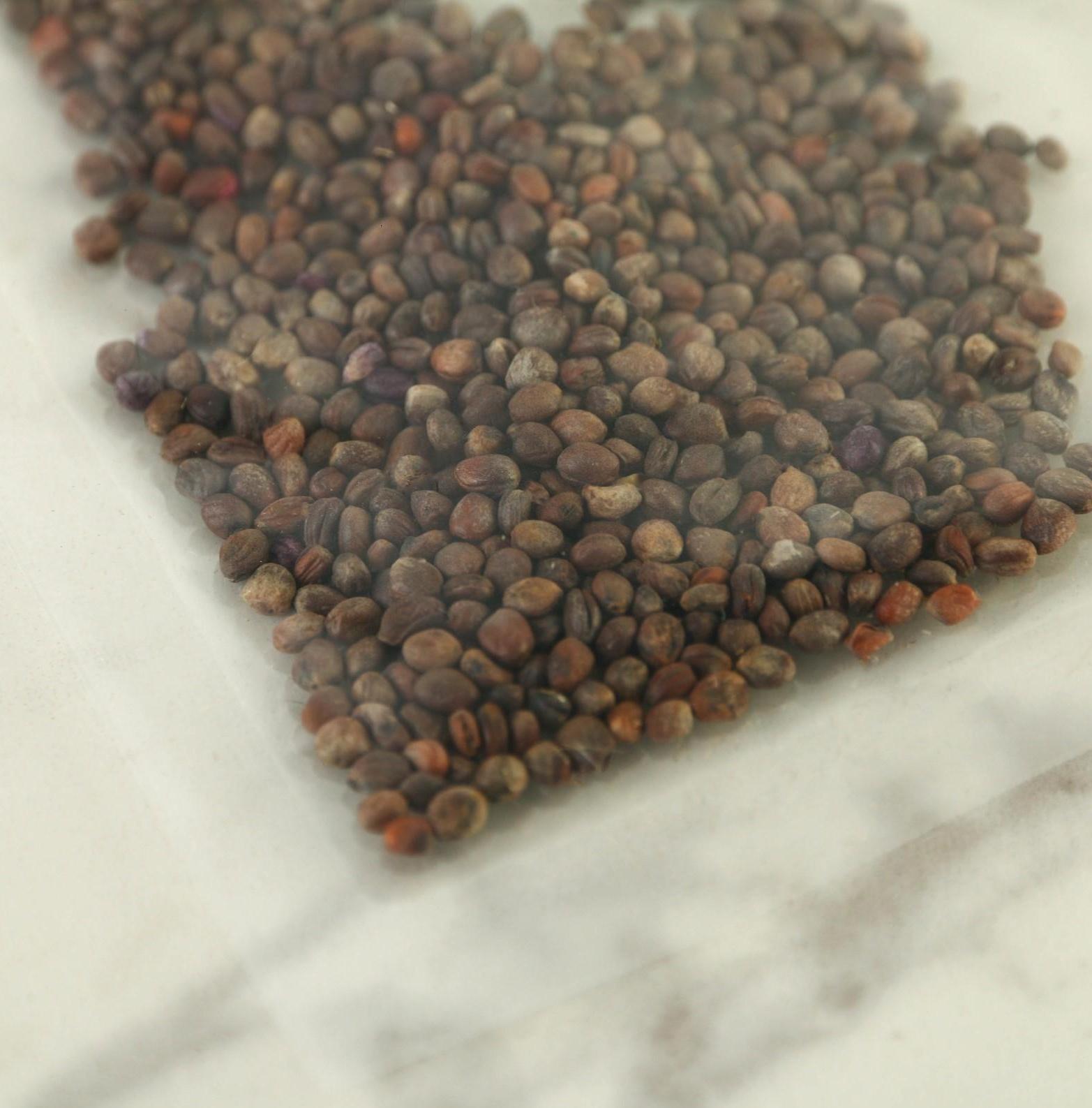 Набор для выращивания микрозелени «Редис санго»:лоток,семена (3 шт), льняной коврик (3 шт)