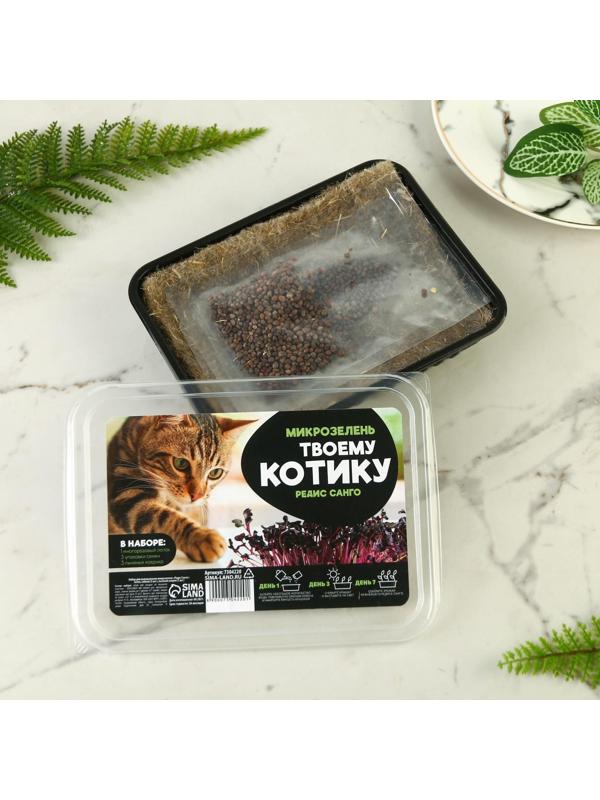 Набор для выращивания микрозелени «Редис санго»:лоток,семена (3 шт), льняной коврик (3 шт)