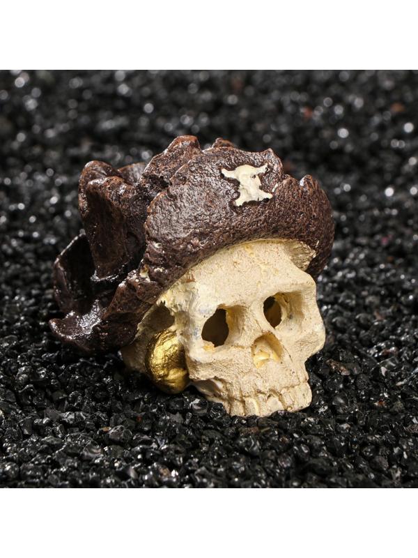 Декор для аквариума 