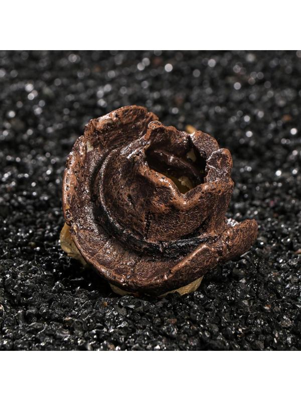 Декор для аквариума 