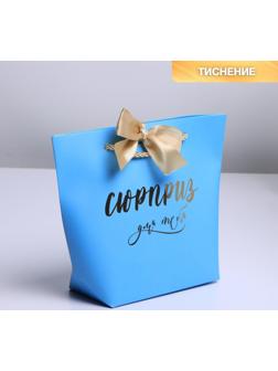 Пакет подарочный «Сюрприз», 14 х 17 х 7 см