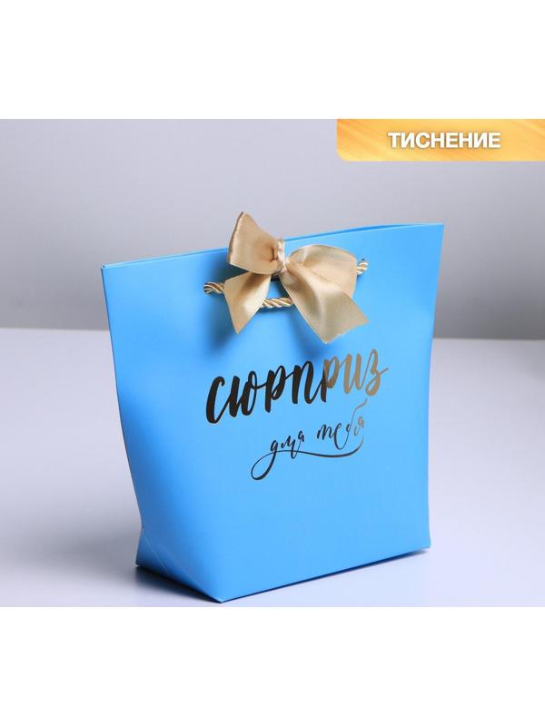 Пакет подарочный «Сюрприз», 14 х 17 х 7 см