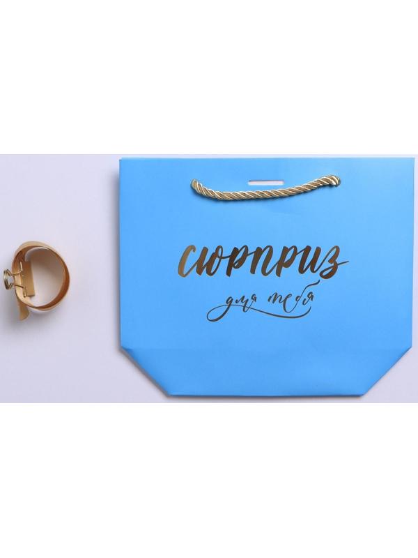 Пакет подарочный «Сюрприз», 14 х 17 х 7 см