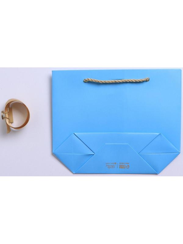 Пакет подарочный «Сюрприз», 14 х 17 х 7 см