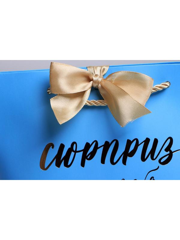 Пакет подарочный «Сюрприз», 14 х 17 х 7 см