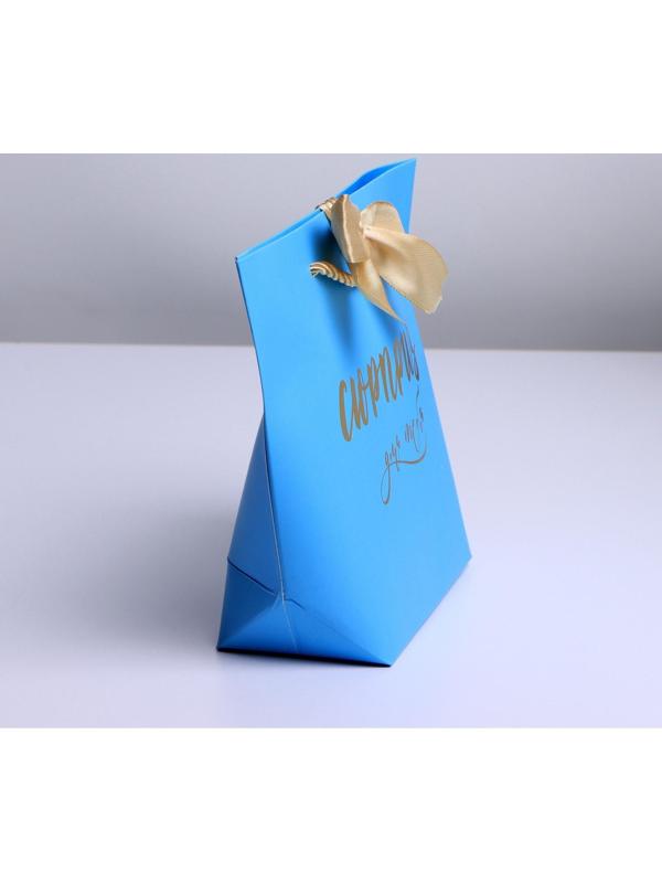 Пакет подарочный «Сюрприз», 14 х 17 х 7 см