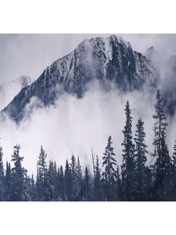 Штора для ванны Доляна «Сумерки», с люверсами, 180×180 см, полиэстер