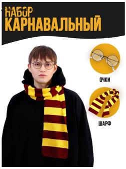 Набор для магии «Юный волшебник» 4 (очки+ шарф)