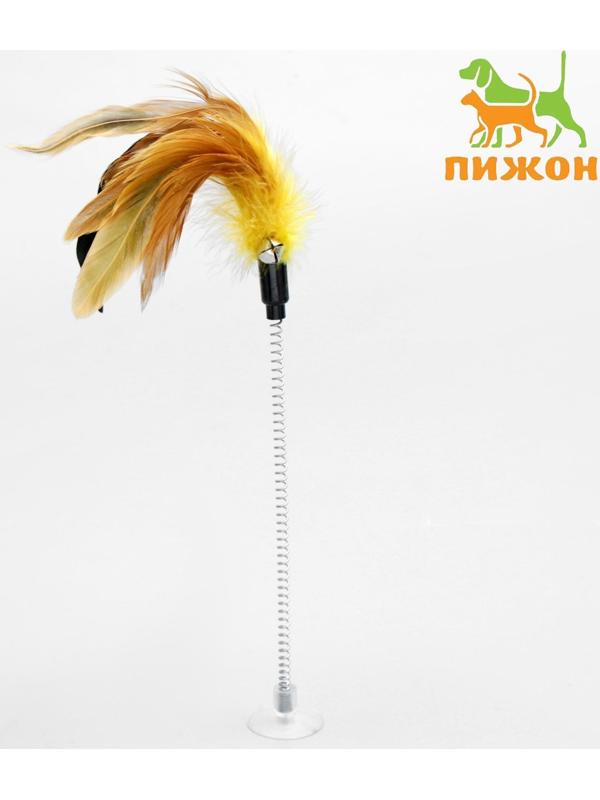 Дразнилка на прозрачной присоске 