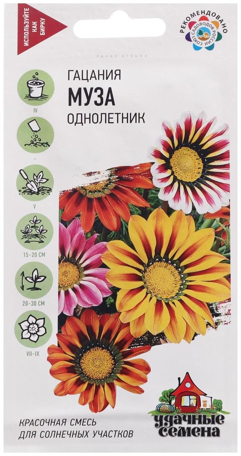 Семена Гацания 