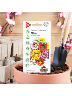 Семена Гацания 