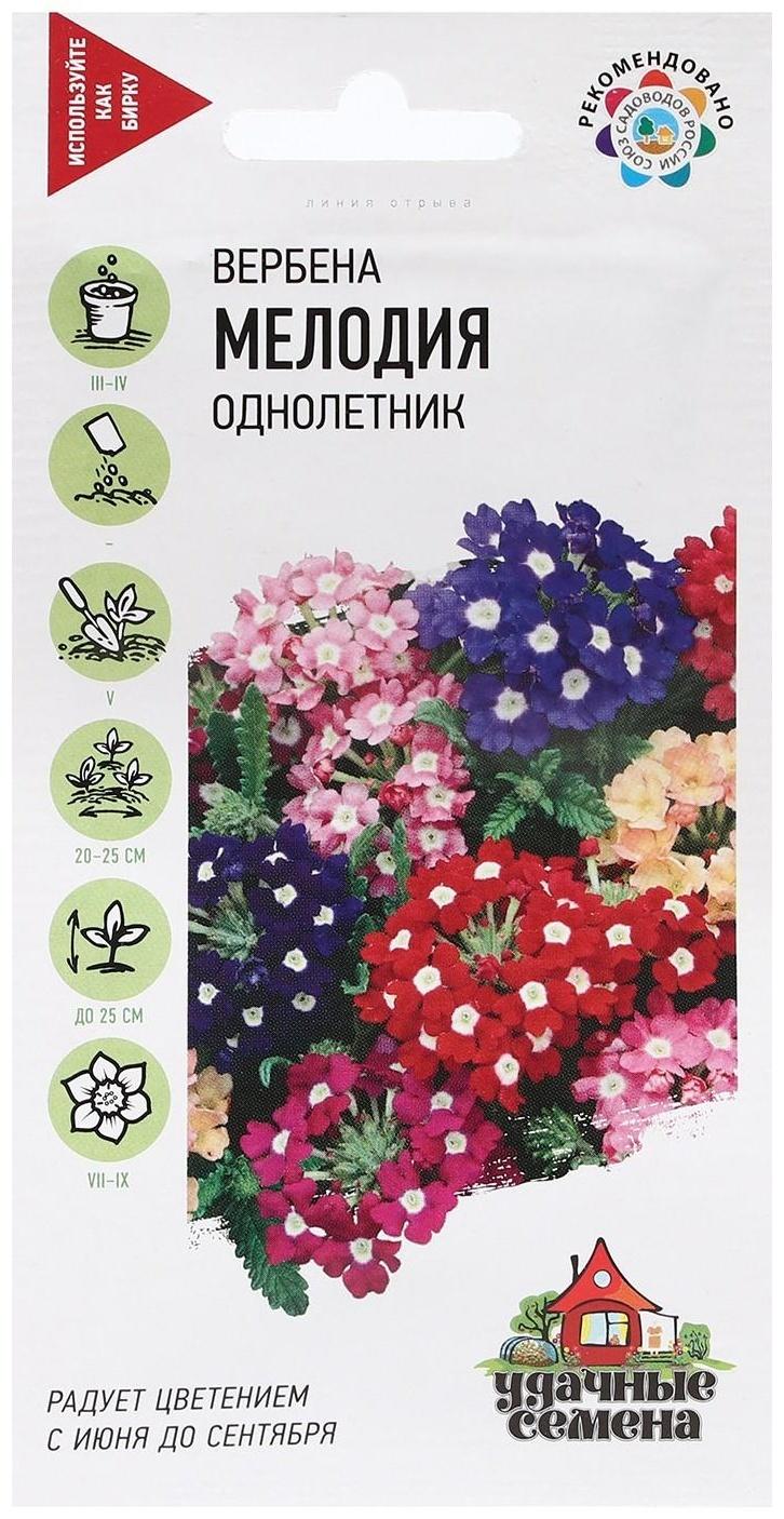 Семена Вербена гибридная 