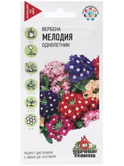 Семена Вербена гибридная 