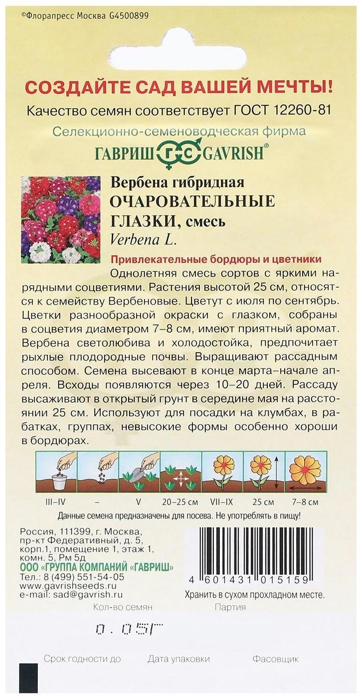 Семена цветов Вербена гибридная 