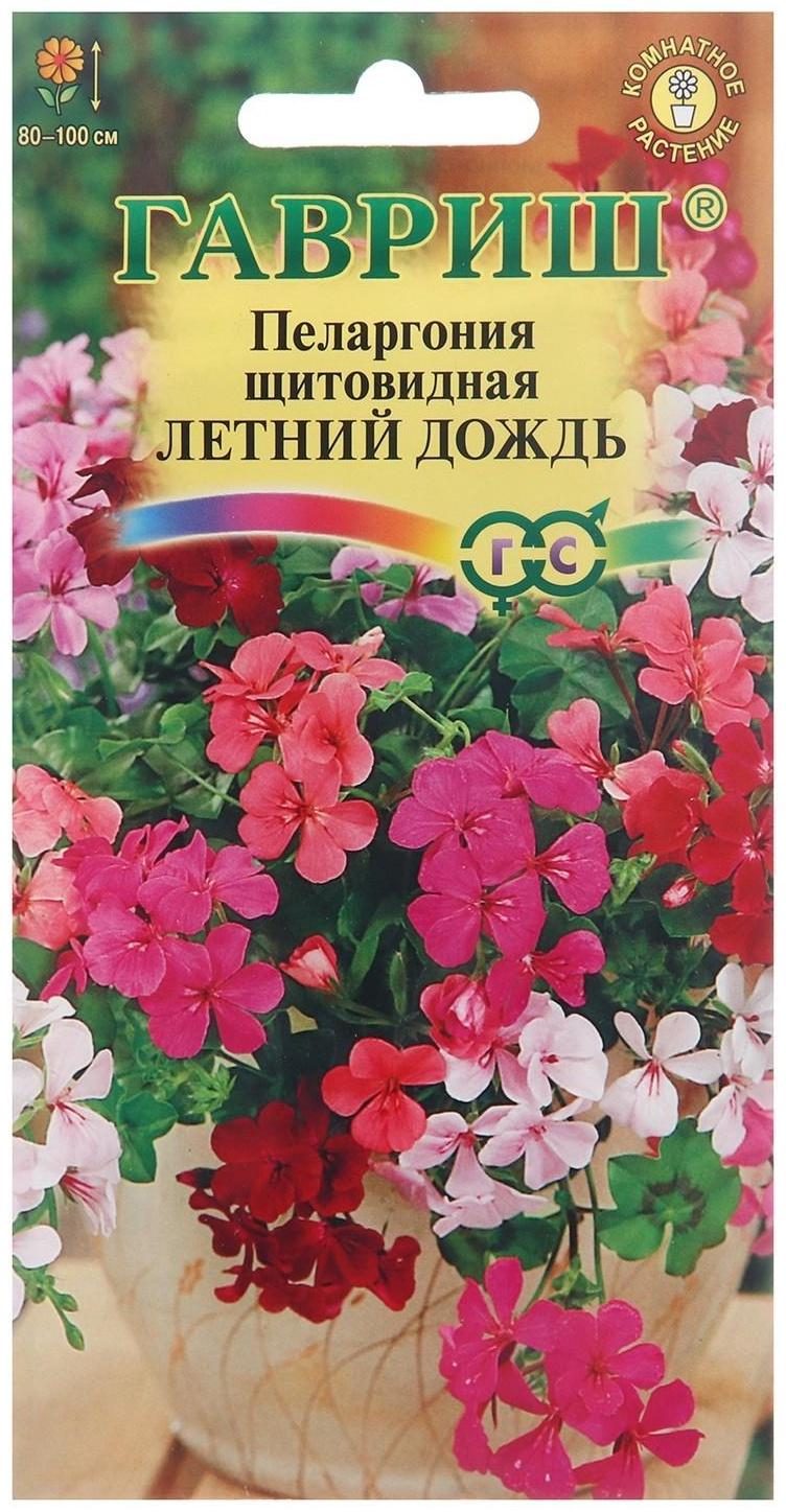 Семена цветов Пеларгония 