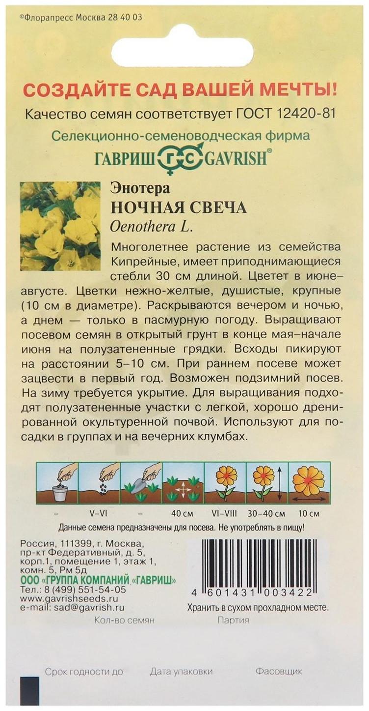 Семена цветов Энотера 