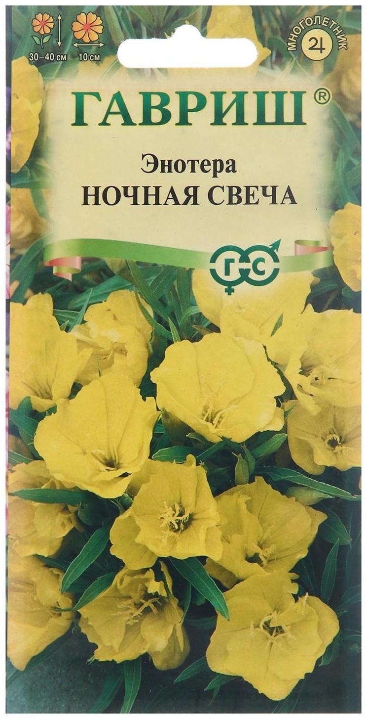 Семена цветов Энотера 