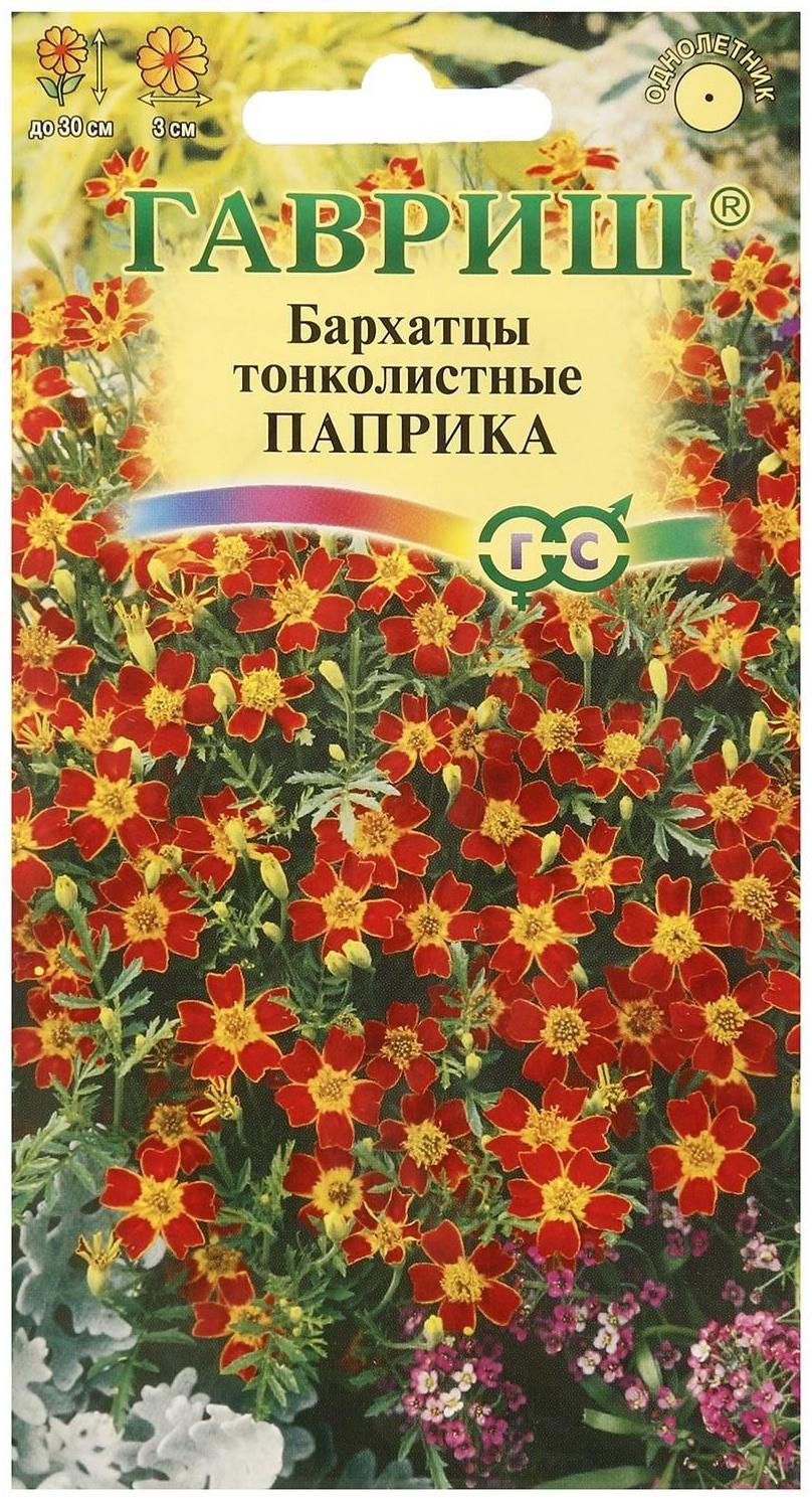 Семена цветов Бархатцы тонколистные (Тагетес) 