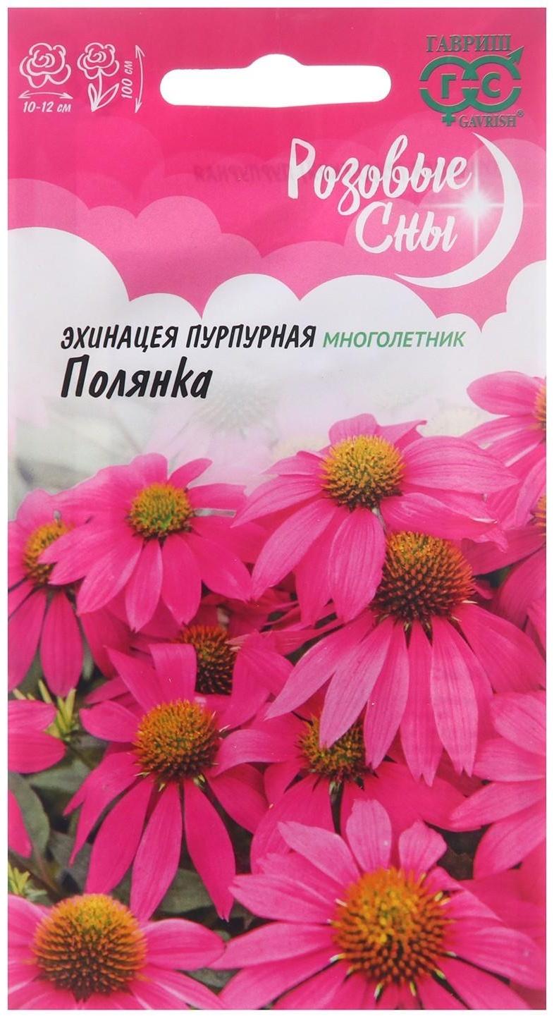 Семена цветов Эхинацея 