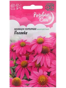 Семена цветов Эхинацея 
