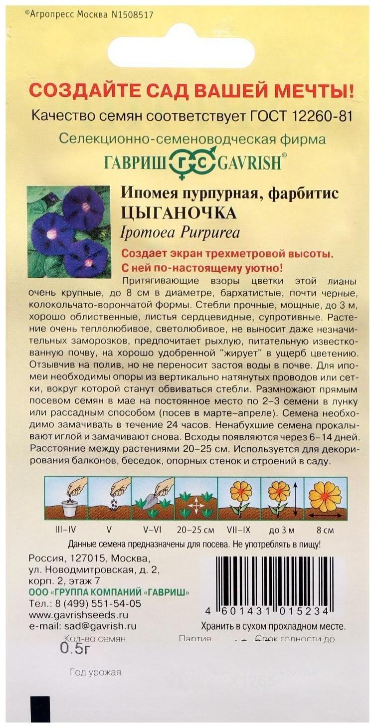 Семена цветов Ипомея 