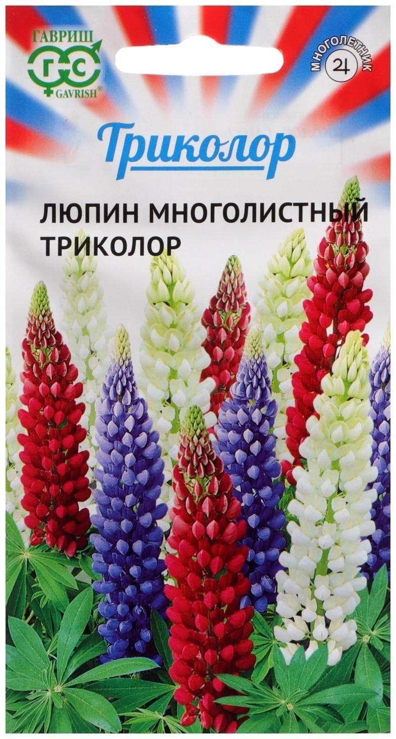 Семена цветов Люпин 