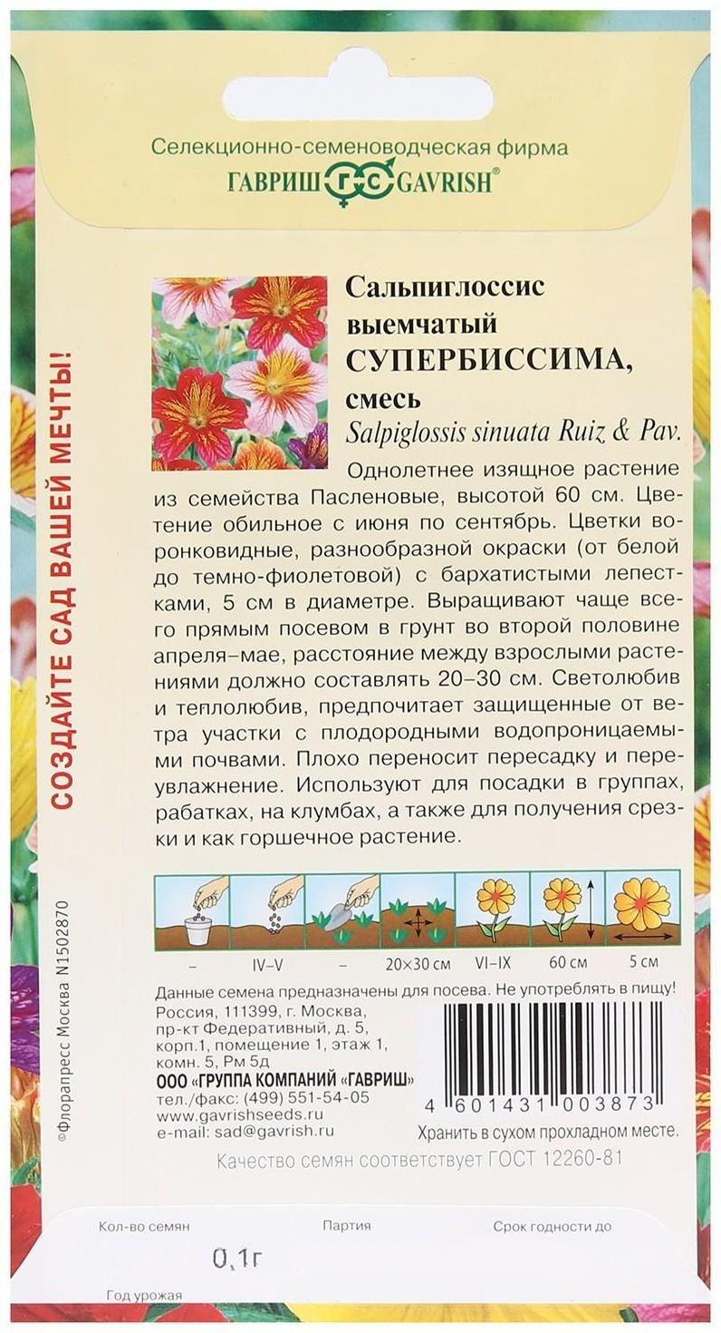 Семена цветов Сальпиглоссис 