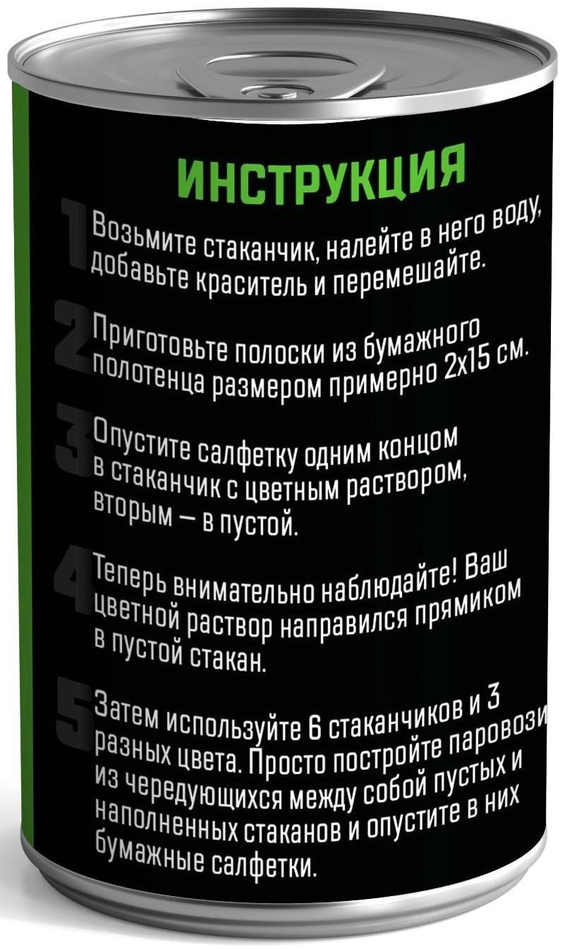 Набор для опытов «Шагающая радуга»