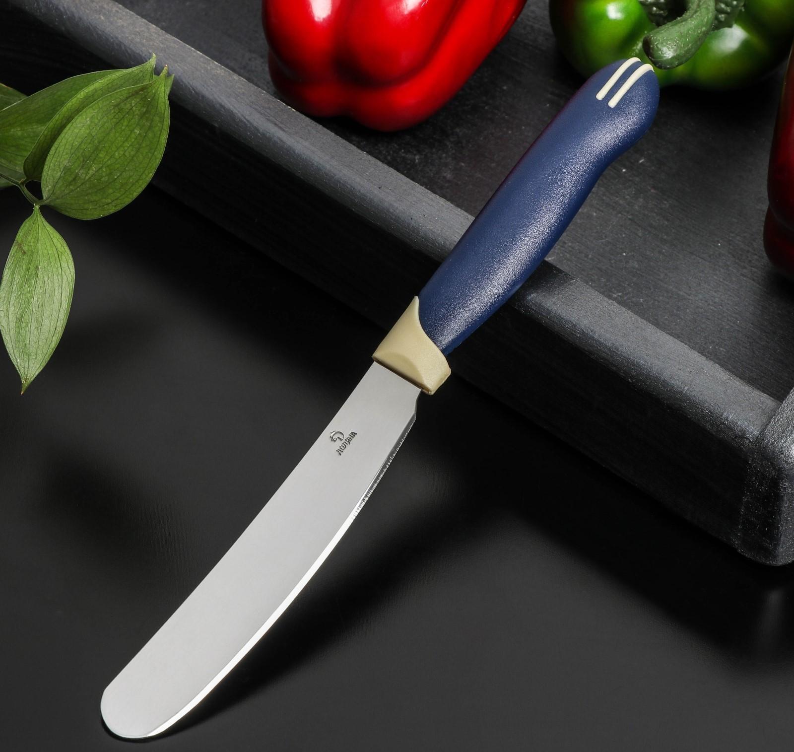 Нож Доляна «Страйп» для масла, лезвие 7,5 см, цвет синий