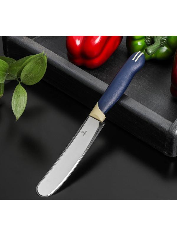 Нож Доляна «Страйп» для масла, лезвие 7,5 см, цвет синий