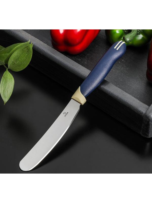 Нож Доляна «Страйп» для масла, лезвие 7,5 см, цвет синий