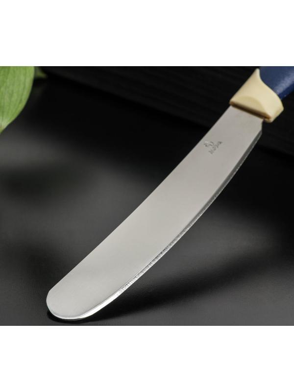 Нож Доляна «Страйп» для масла, лезвие 7,5 см, цвет синий