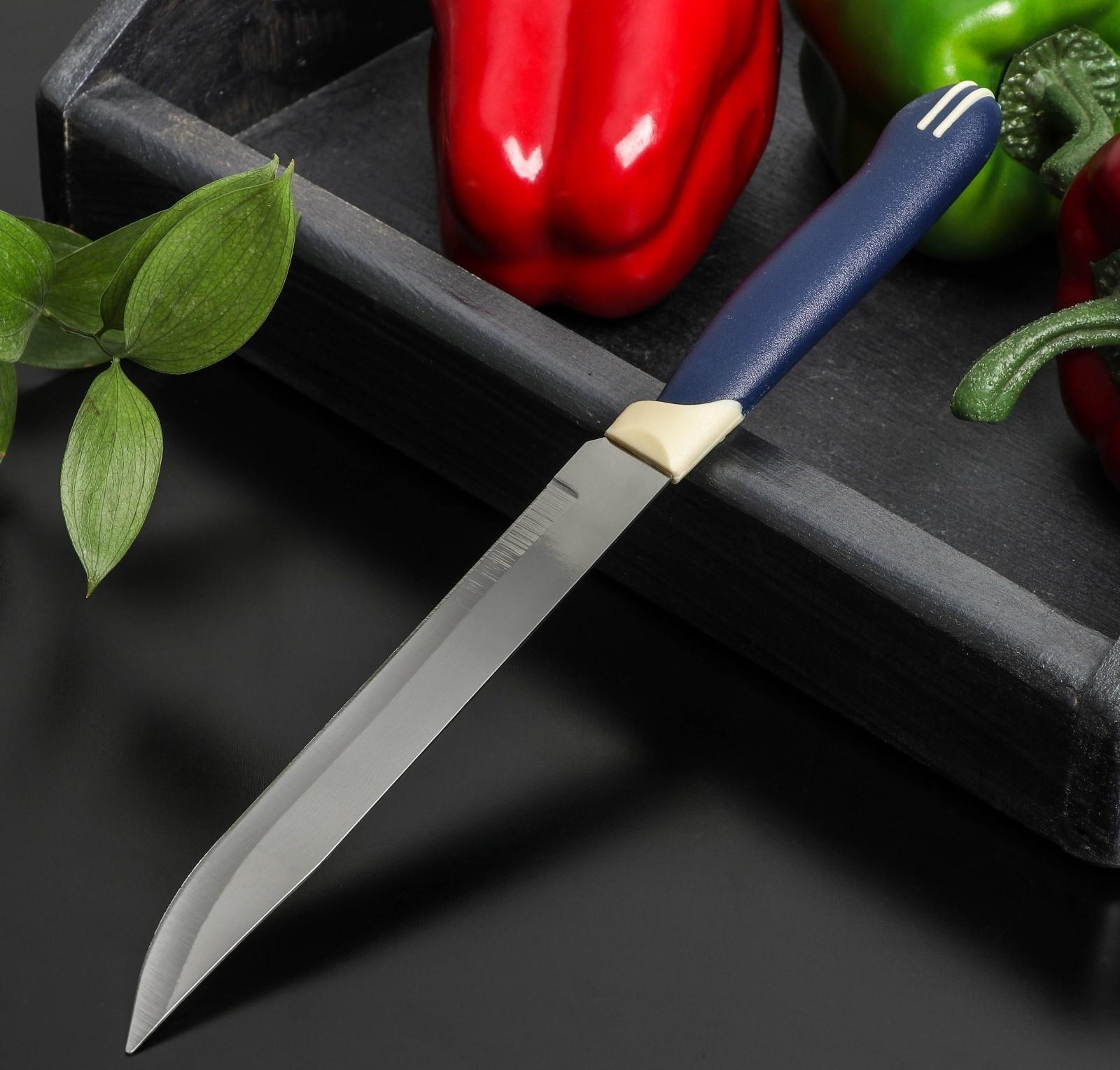 Нож Доляна «Страйп», универсальный, лезвие 15 см, цвет синий