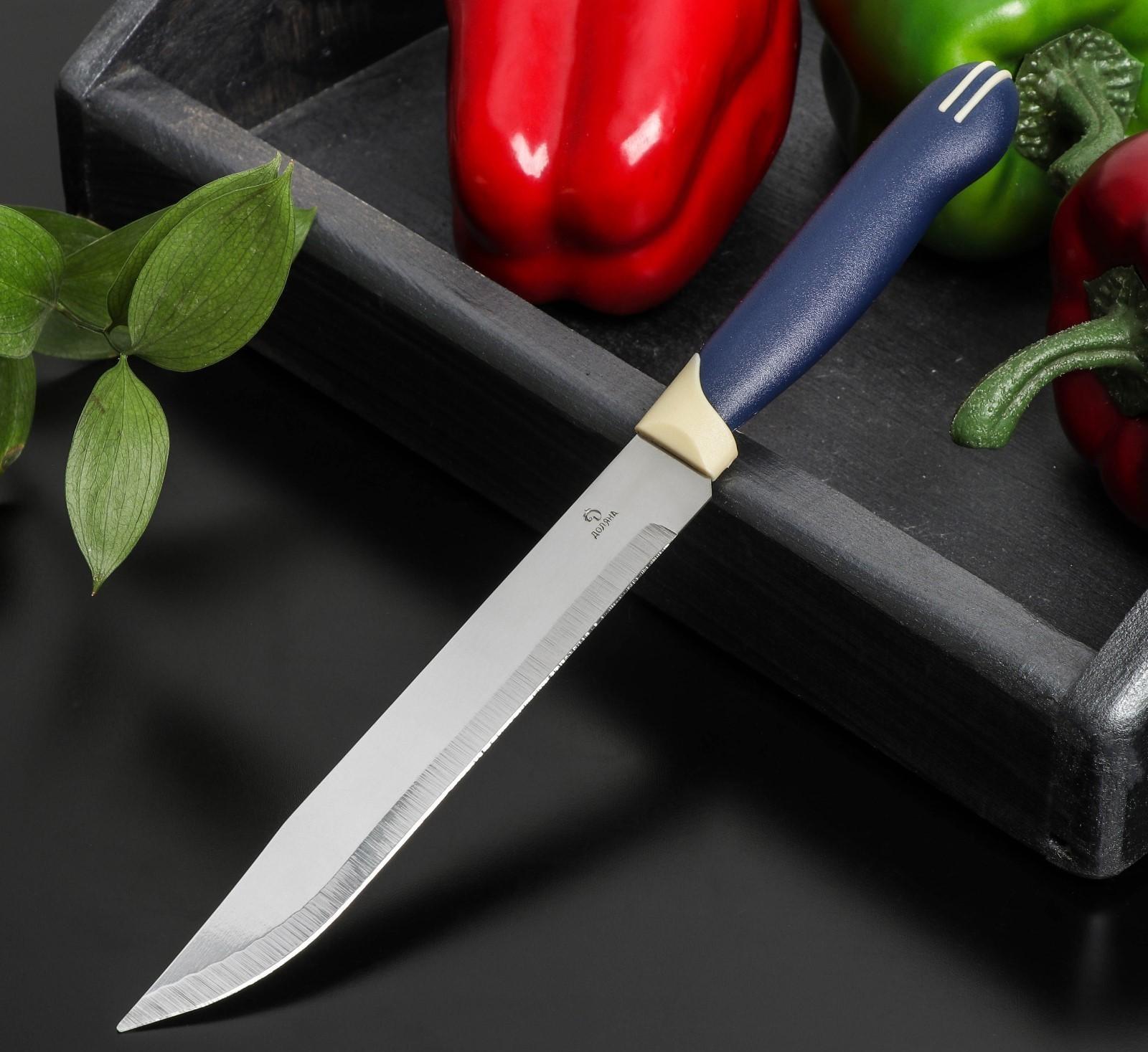 Нож Доляна «Страйп», универсальный, лезвие 15 см, цвет синий