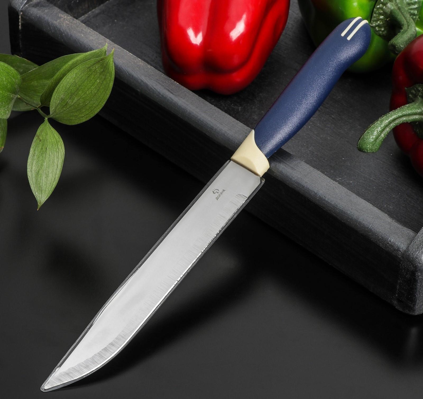 Нож Доляна «Страйп», универсальный, лезвие 15 см, цвет синий