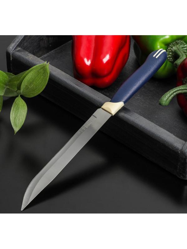 Нож Доляна «Страйп», универсальный, лезвие 15 см, цвет синий