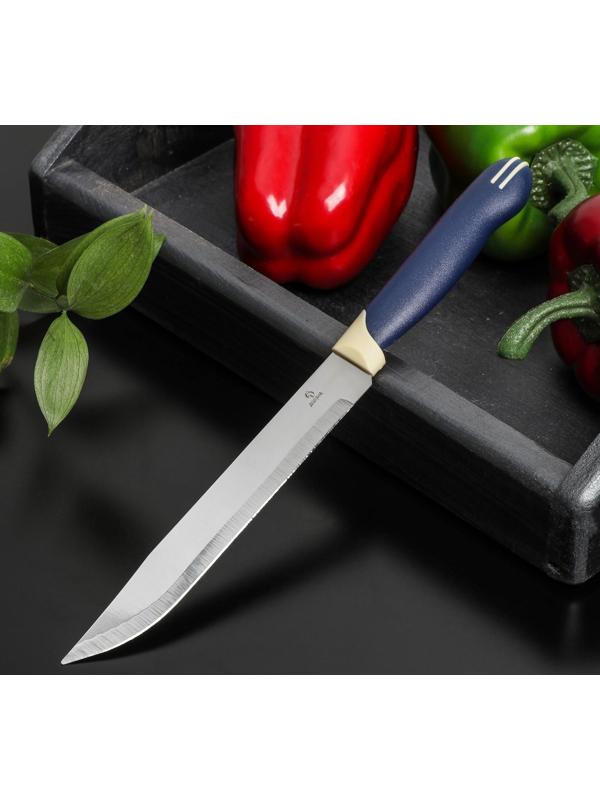 Нож Доляна «Страйп», универсальный, лезвие 15 см, цвет синий