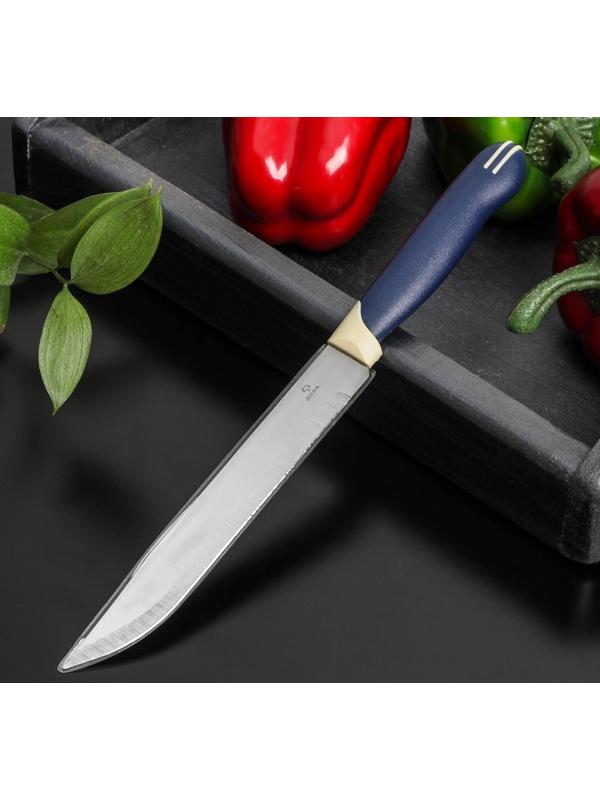 Нож Доляна «Страйп», универсальный, лезвие 15 см, цвет синий