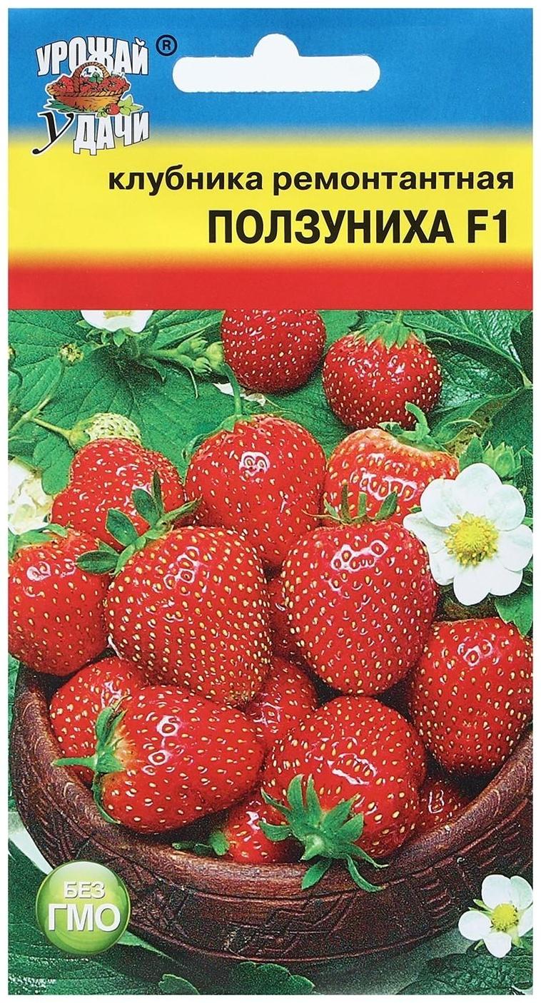 Семена Клубника ремонтантная 