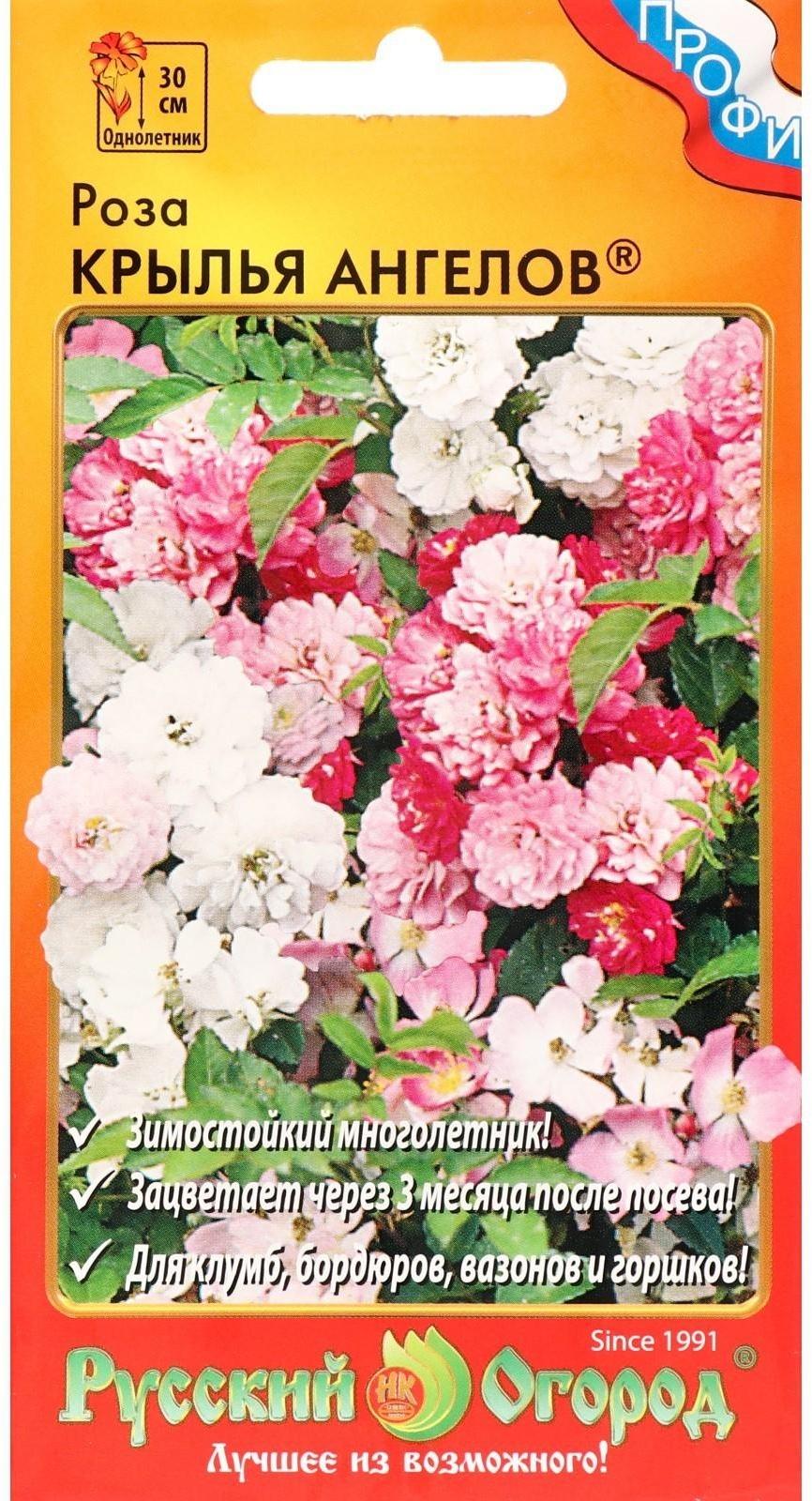 Семена цветов Роза 