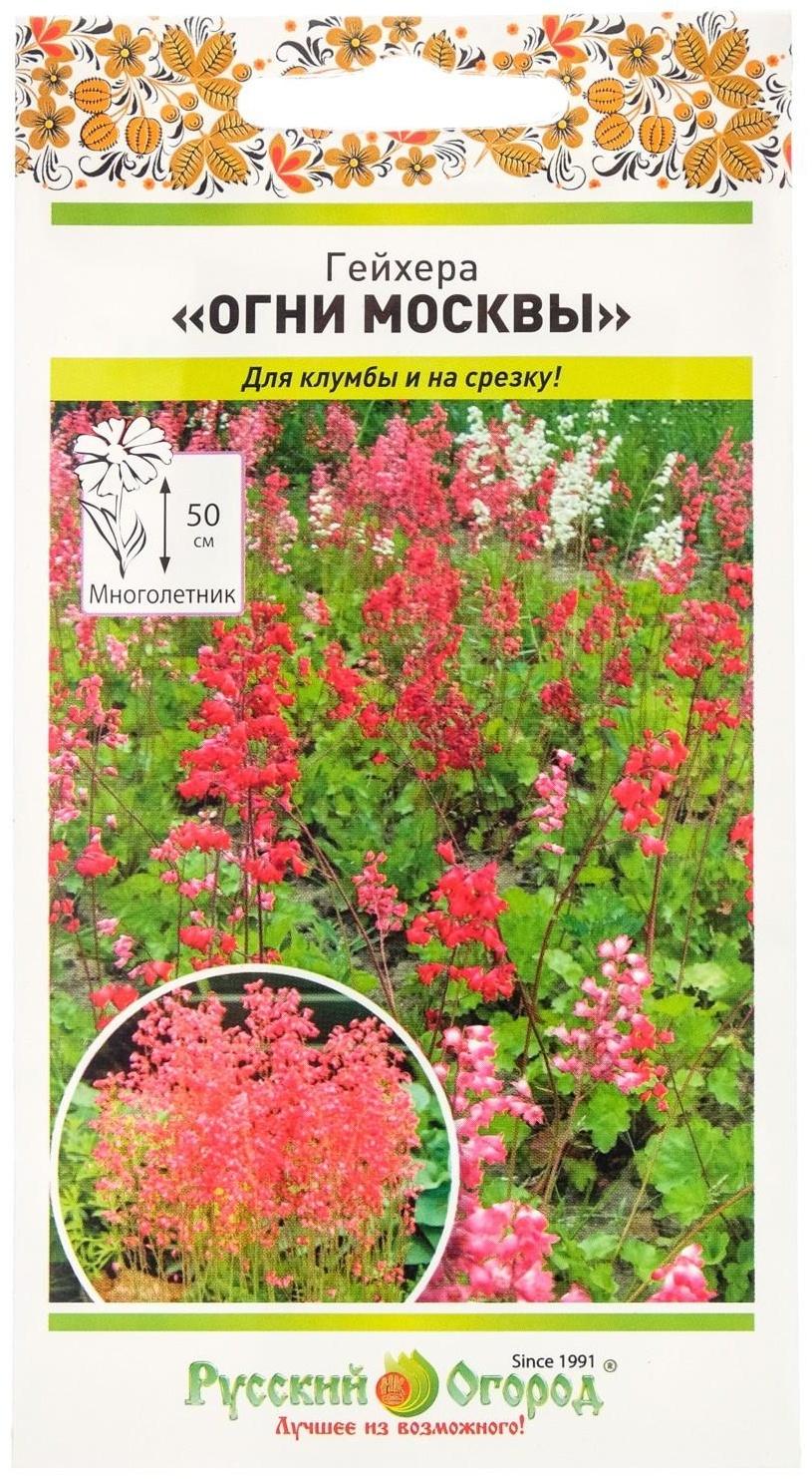 Семена цветов Гейхера 