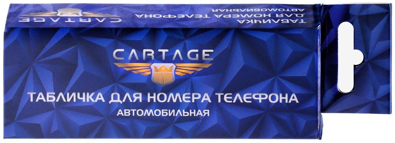 Табличка Cartage, для номера телефона с крышкой, люминесцентные цифры, черный