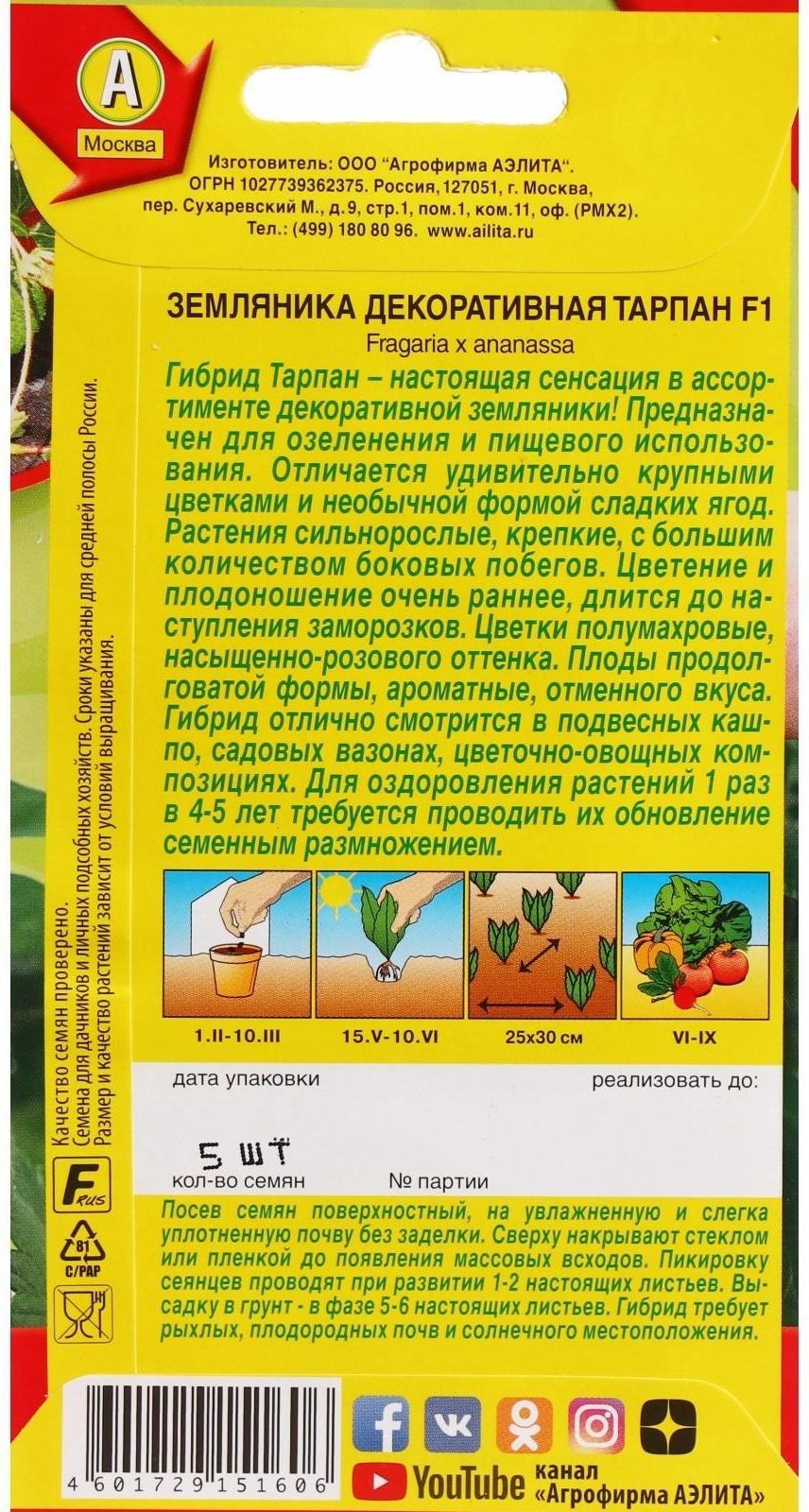 Семена Земляника 