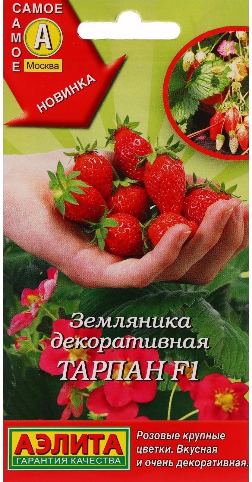 Семена Земляника 