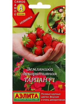 Семена Земляника 