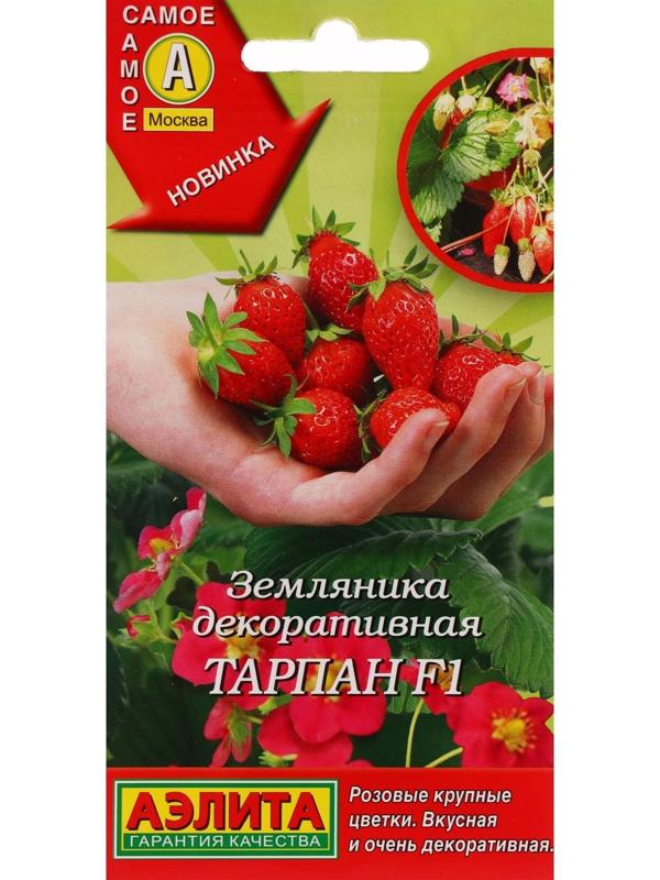 Семена Земляника 