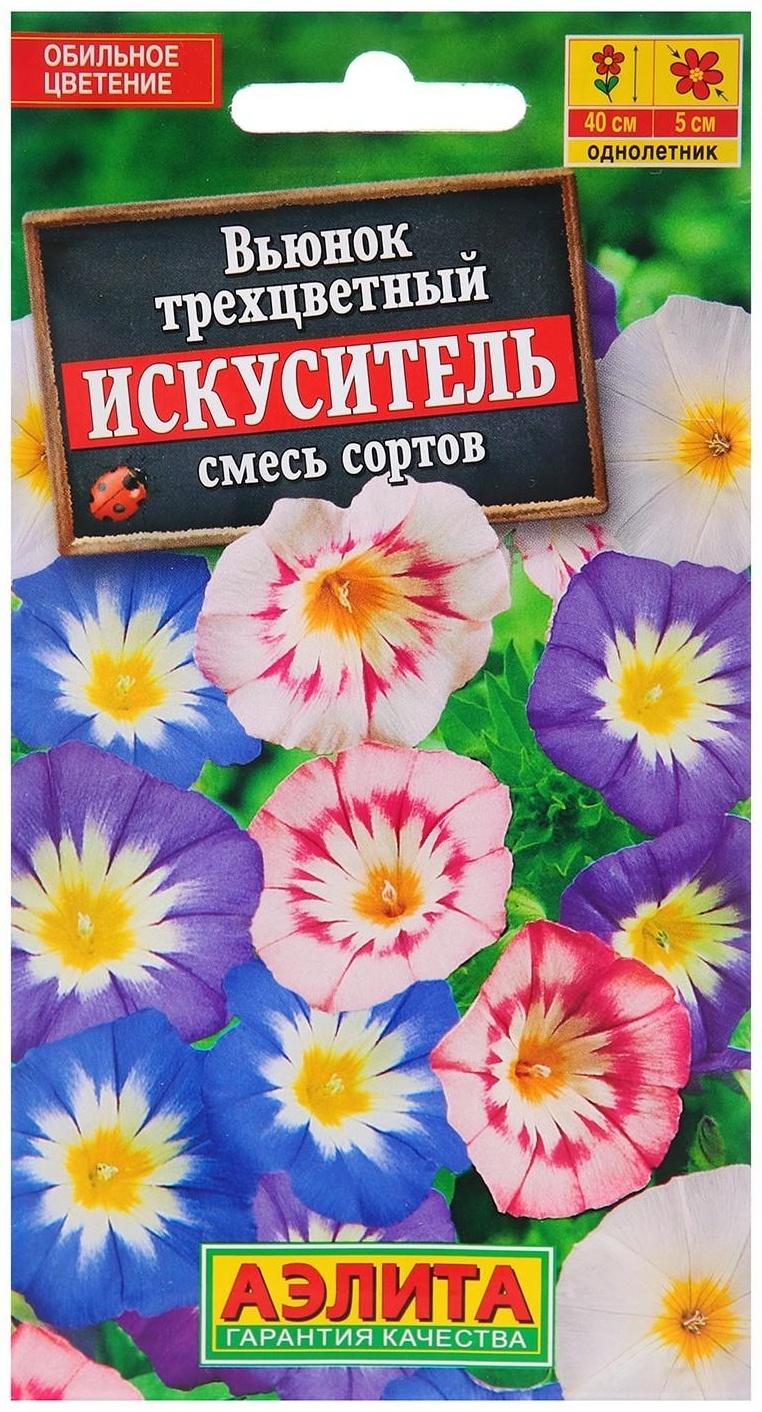 Семена Цветов Вьюнок 